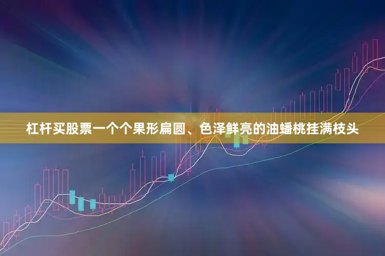 杠杆买股票一个个果形扁圆、色泽鲜亮的油蟠桃挂满枝头