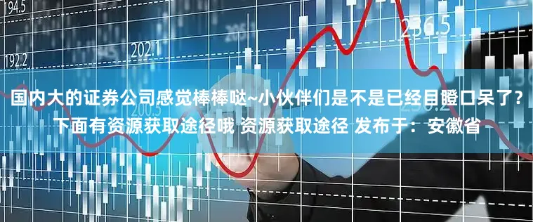 国内大的证券公司感觉棒棒哒~小伙伴们是不是已经目瞪口呆了？下面有资源获取途径哦 资源获取途径 发布于：安徽省