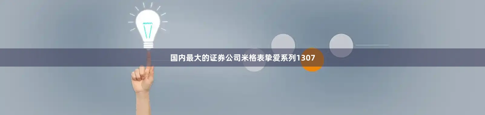 国内最大的证券公司米格表挚爱系列1307