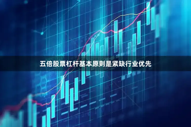 五倍股票杠杆基本原则是紧缺行业优先