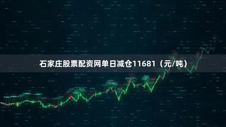 石家庄股票配资网单日减仓11681（元/吨）